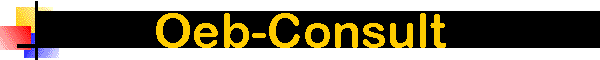 Oeb-Consult